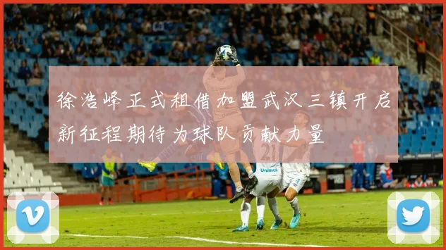 徐浩峰正式租借加盟武汉三镇开启新征程期待为球队贡献力量